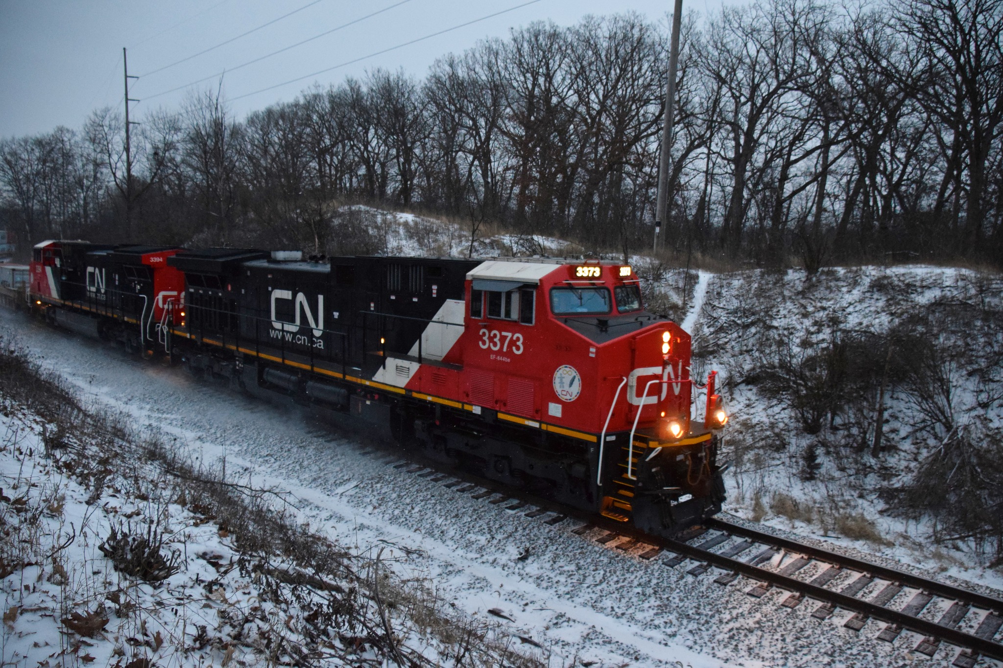 Canadian national train heads south | Waukesha, WI