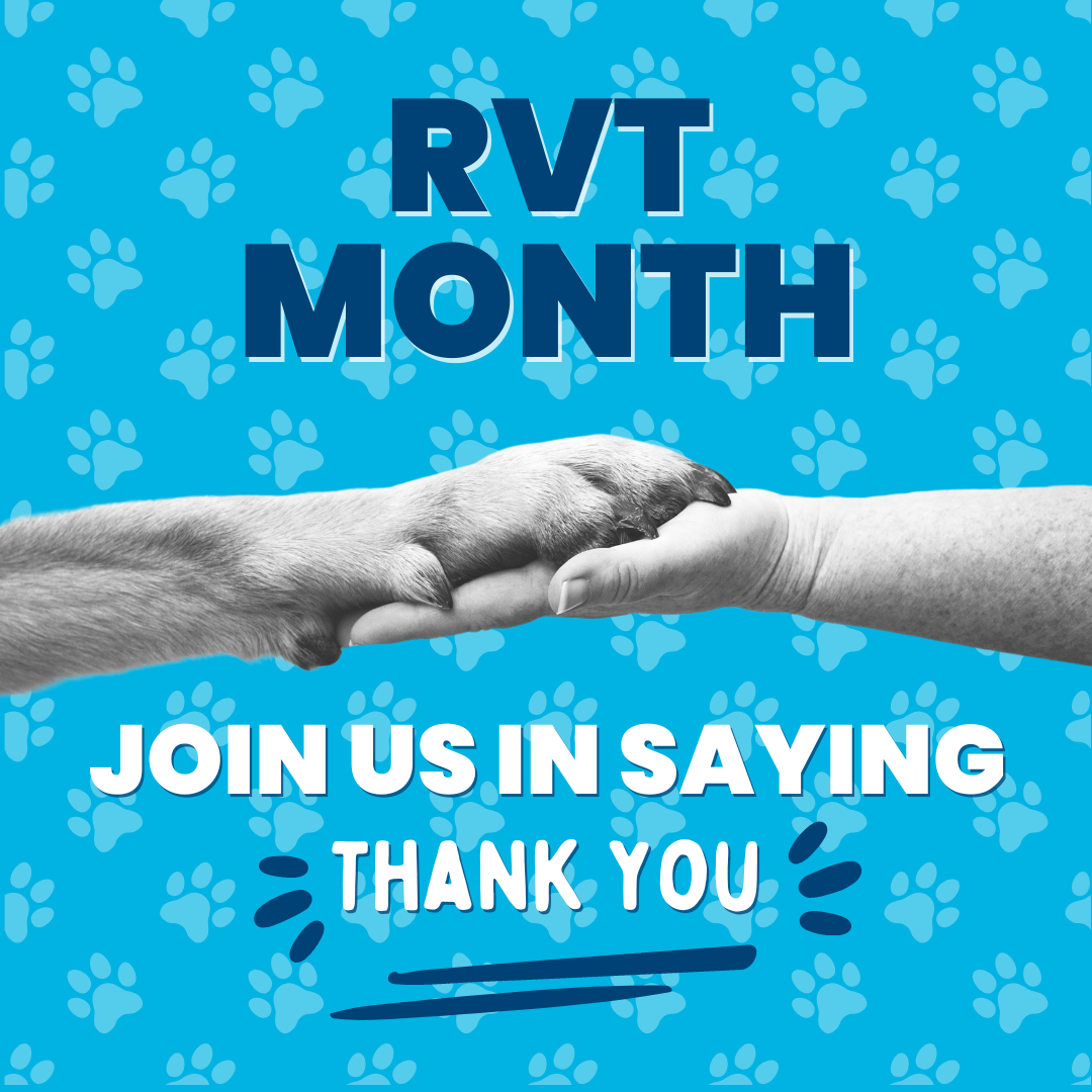 October is RVT Month! ... - Riverview Animal Health Centre | Facebook
