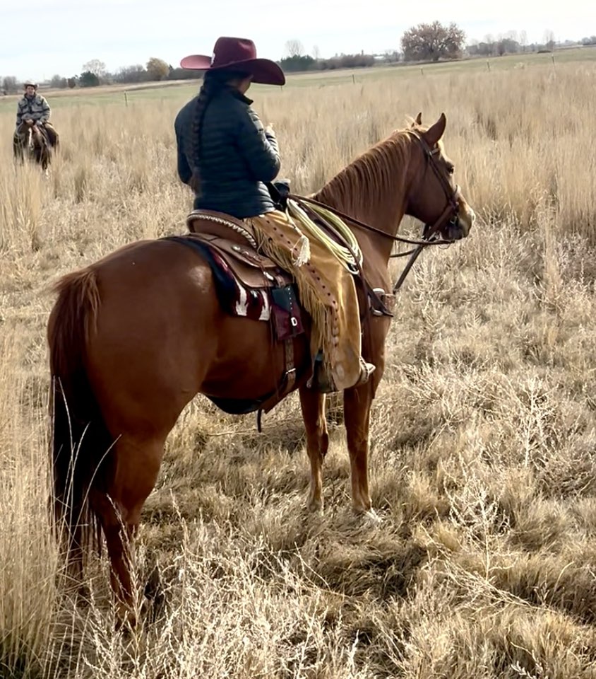Somethin to chew on every horse... - X2D Ranch Ministries | Facebook