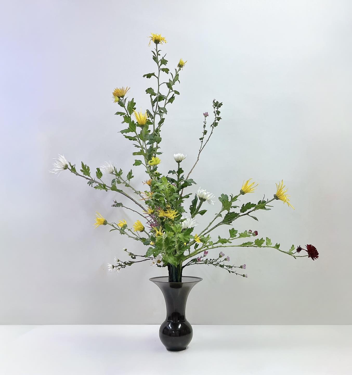 菊一色 立華】 秋らしい景色の演出には、 艶やかな菊もひと役かって 