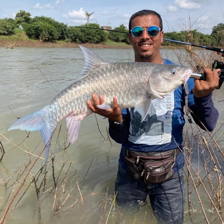 MAHSEER TIGER OF THE RIVER BLUE FIN #suhail #mahseer #monsterfish # ...