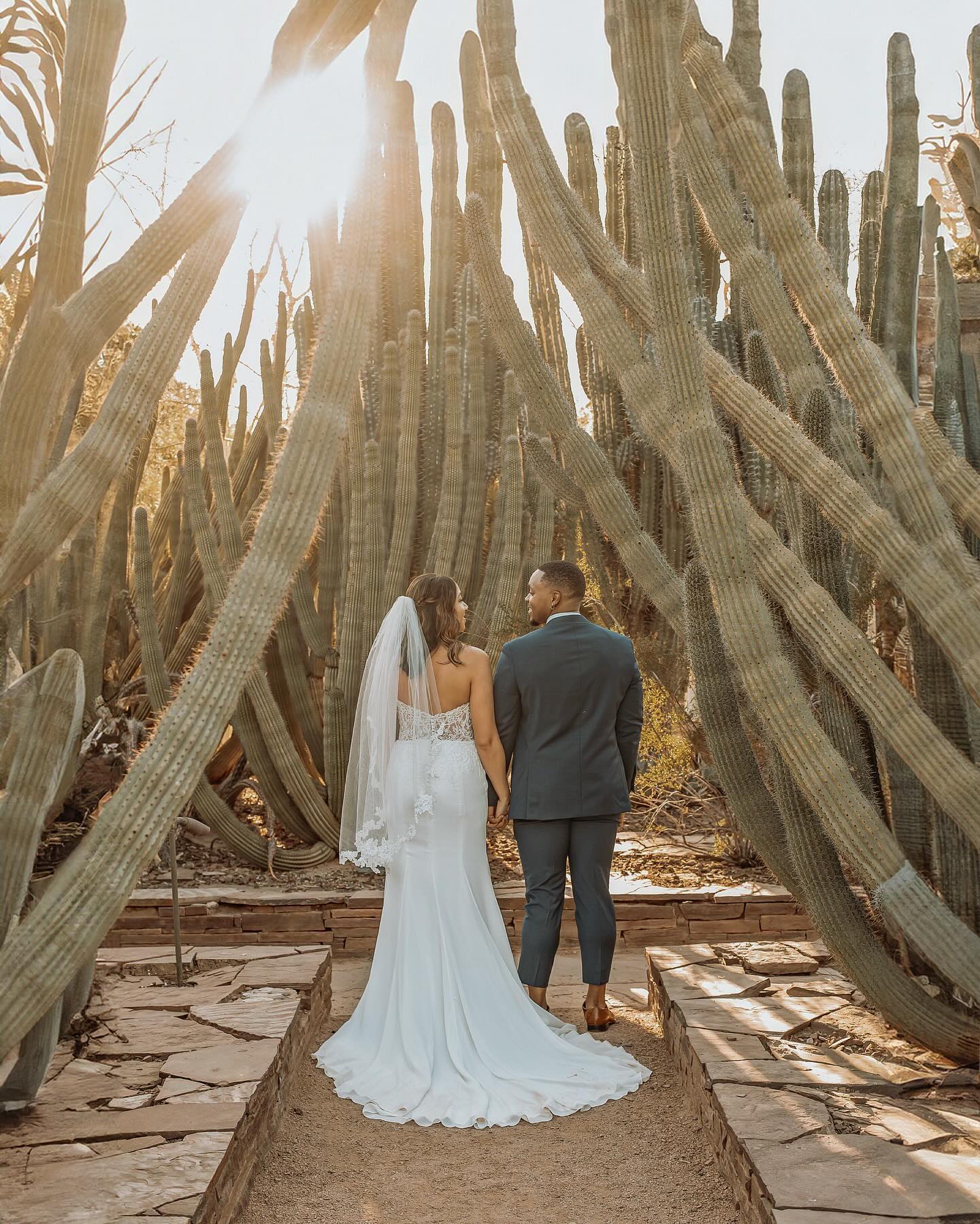 Swap roses for cactus and say 'I... - Desert Botanical Garden