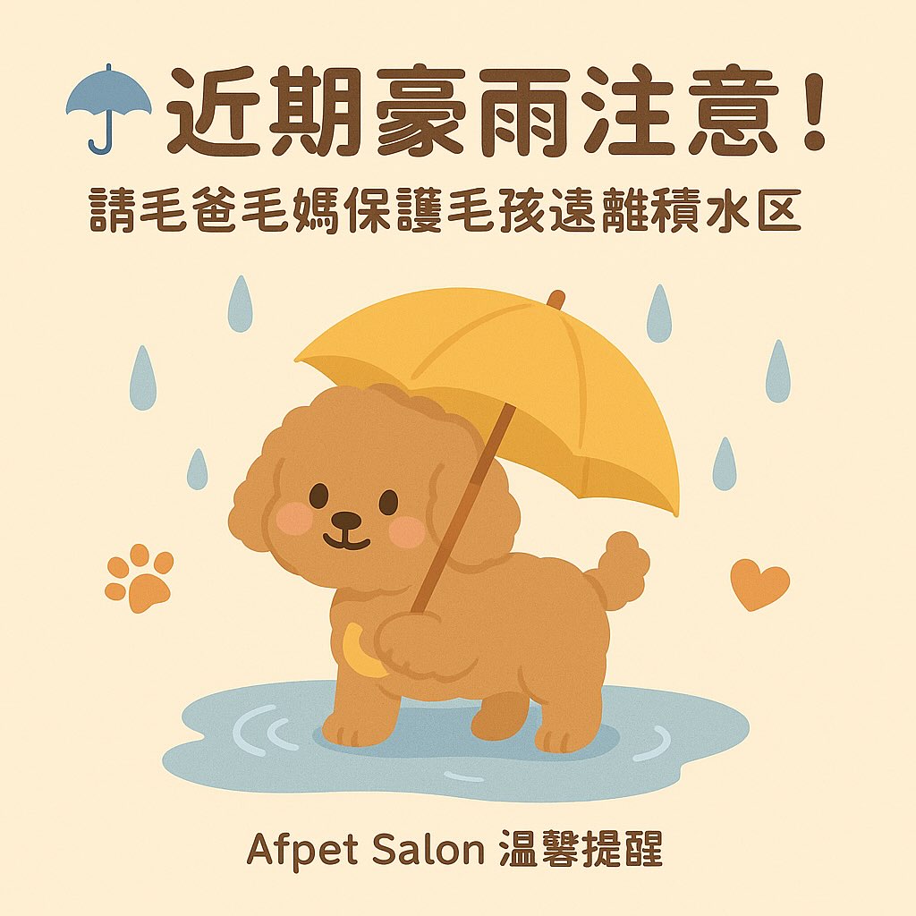 Afpet寵物洗浴概念館永春店 - 🌧️🐾 近期豪雨提醒｜請毛爸毛媽務必注意！ 最近北部連日大雨，提醒大家外出散步時 避免帶毛孩去泥濘或積水的 ...
