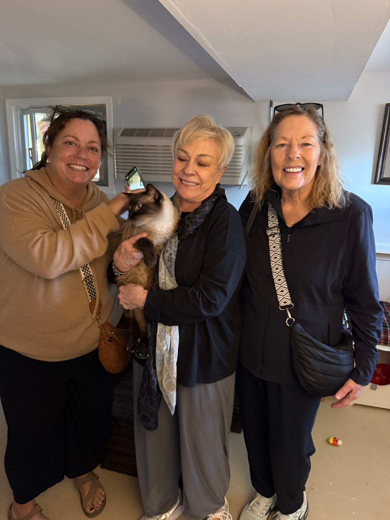 Fat Cat Rescue - Pearl found her home! Thank you to her... | Facebook