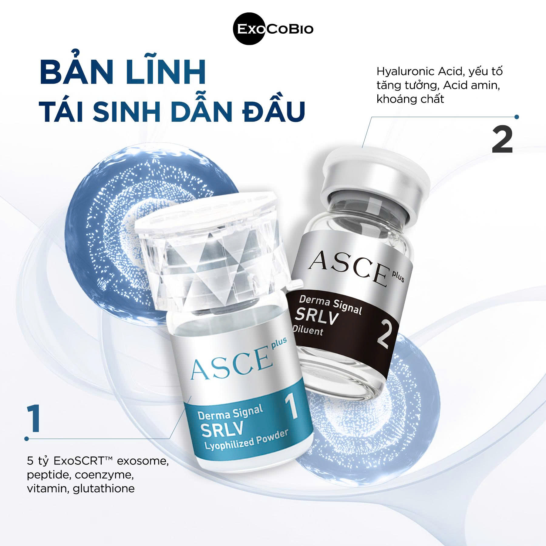ASCE Plus Exosome - Vietnam