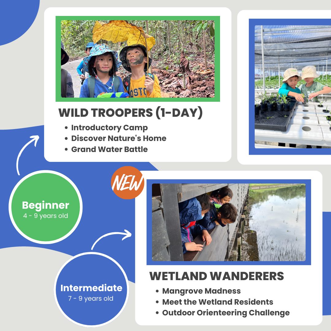 Everything You Need to Know About Singapore’s Seed Institute