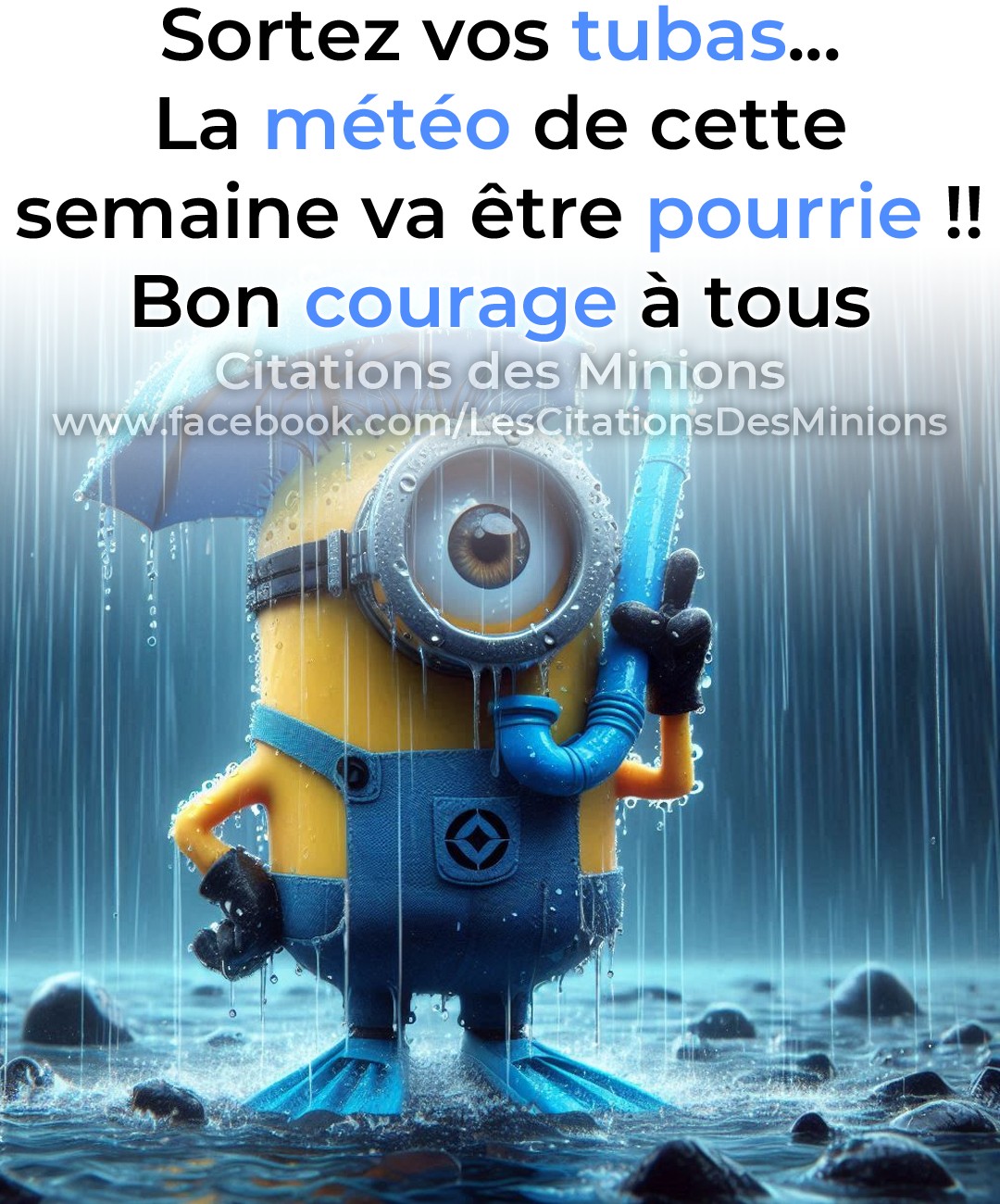 😬 Bonne semaine sous la pluie ! 🌂 - Citations des Minions | Facebook