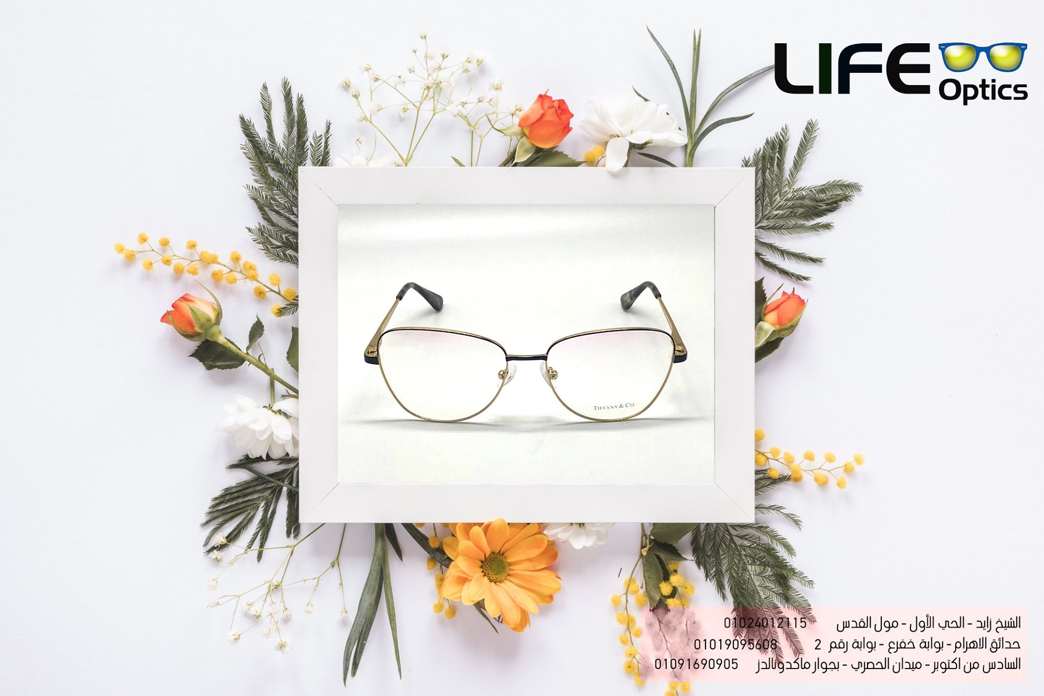 Life Optics - الجديد كله عند لايف اوبتكس وبس ♥ ضمان وصيانة...