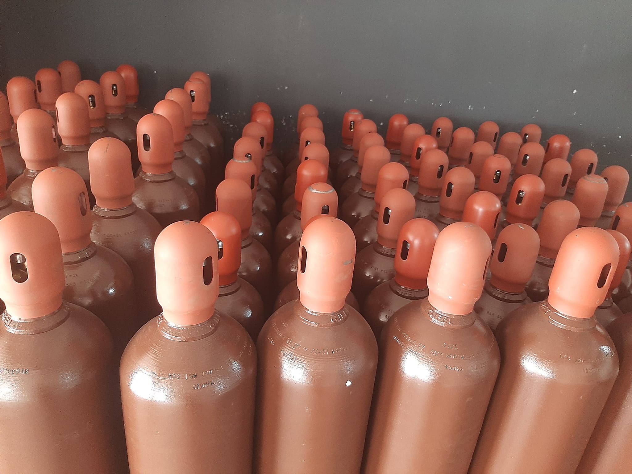 Juruna Oxigênio - A indústria alimentícia tem contado com aliados ...