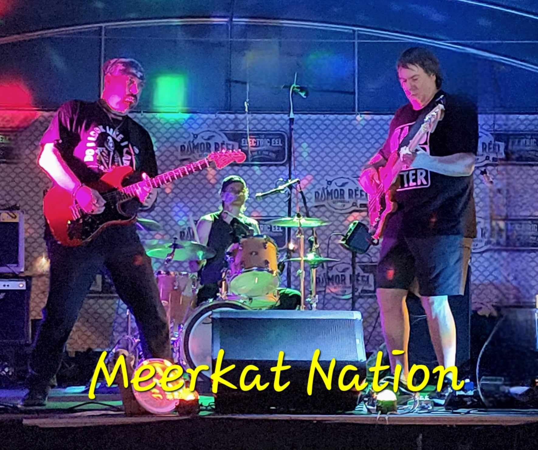 Meerkat Nation
