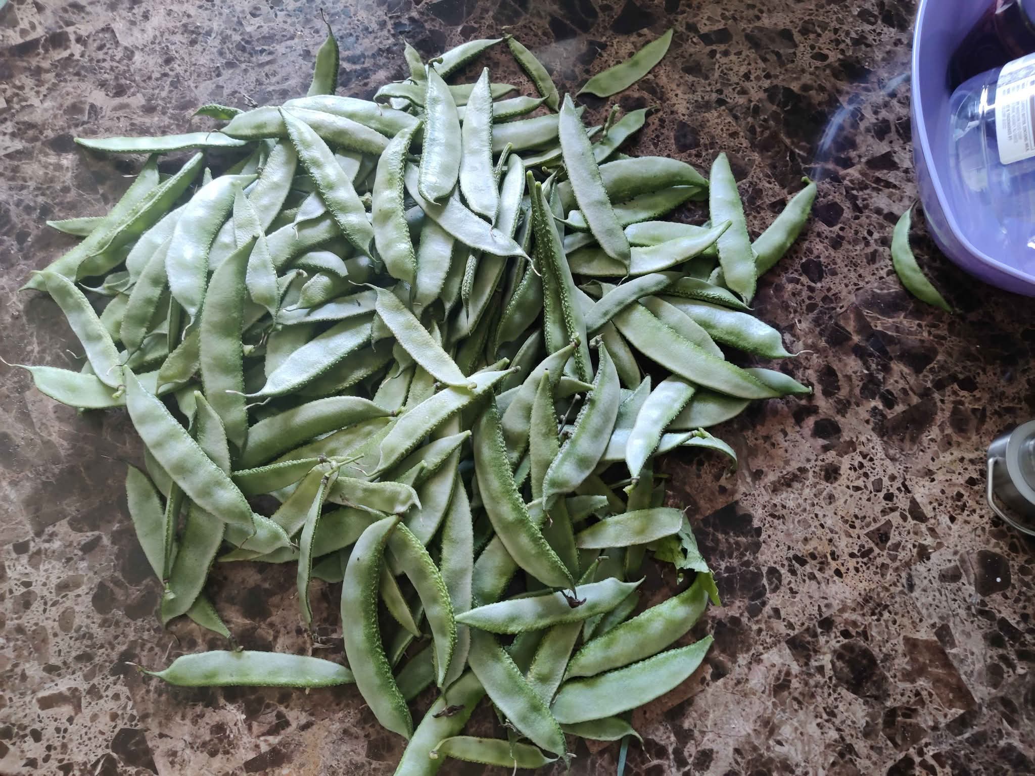 Indian vegetable Valor, green chillies, Ravaiya(Bharva Baingan) - Food ...