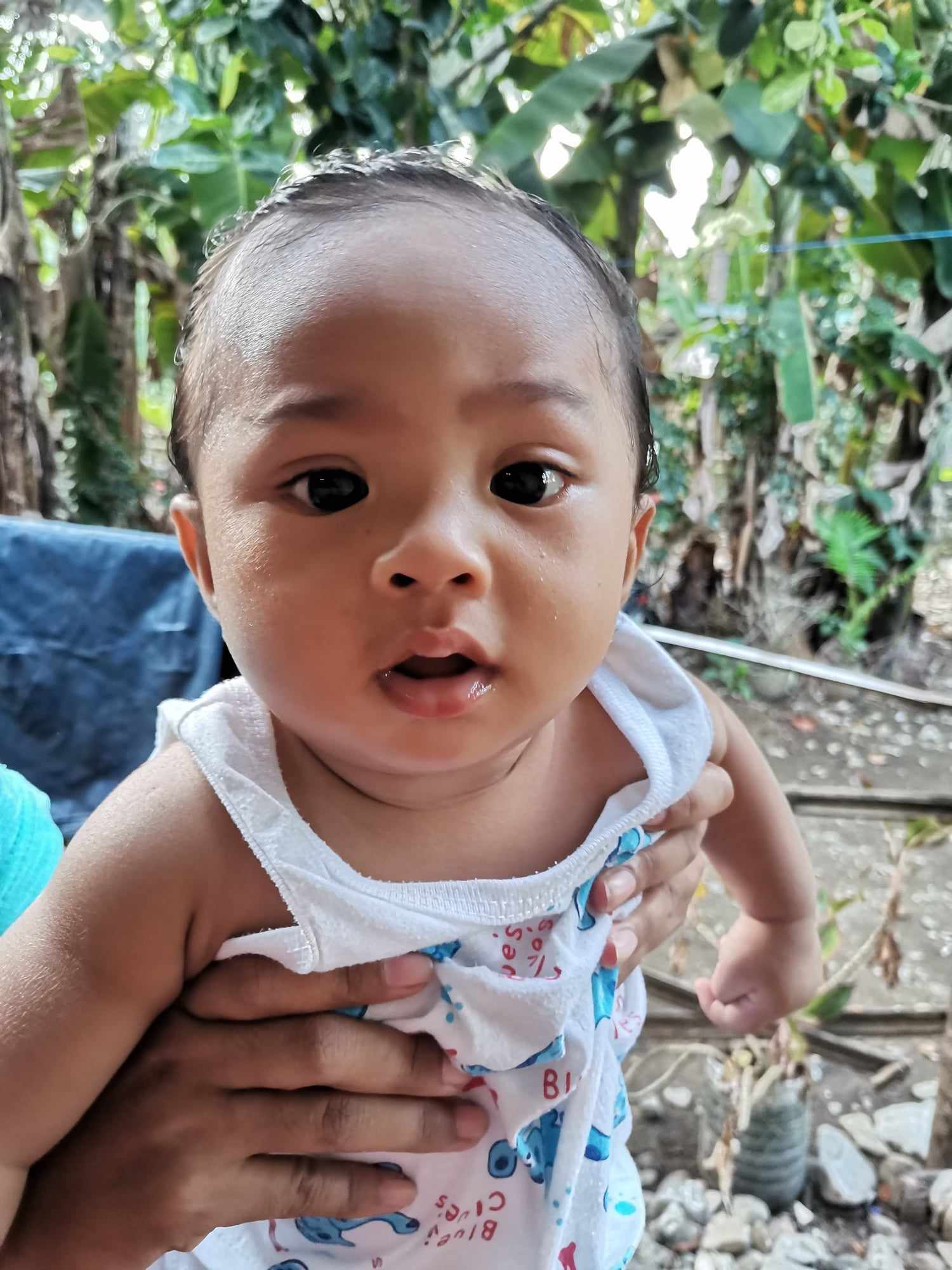 James Jorge Maestro