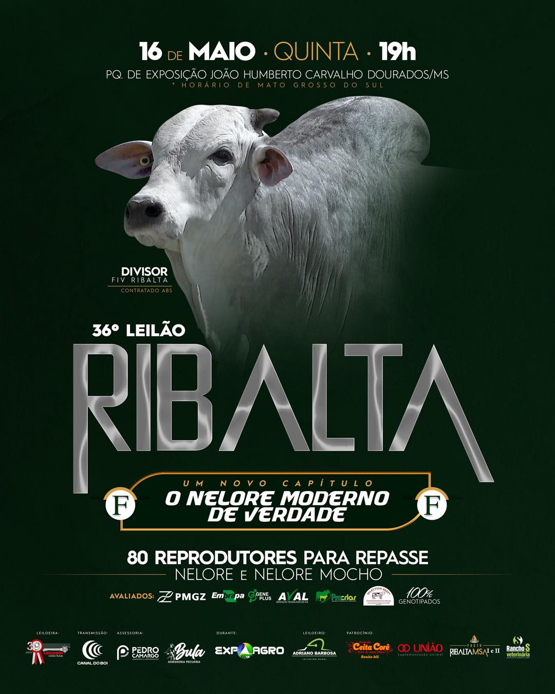 Agropecuária Ribalta MSA