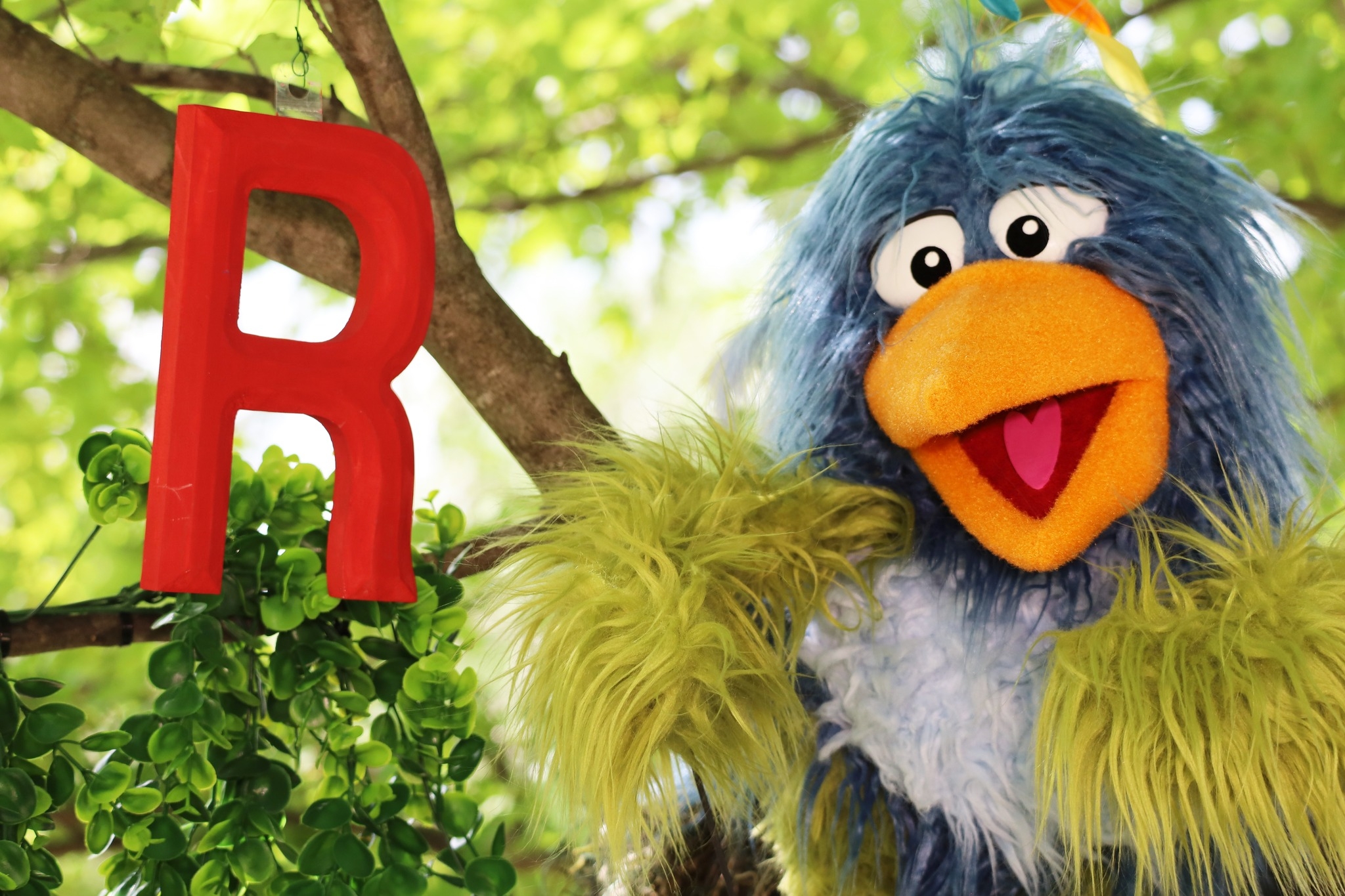 All - Custom puppet created for Bob-A-Loo. Be on the lookout for Alfie ...
