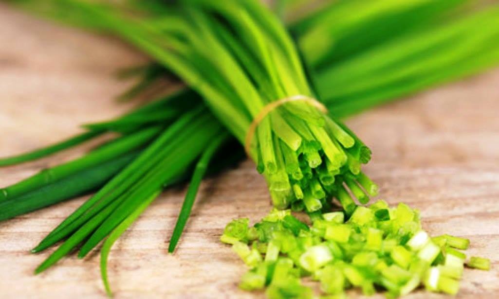 Cergas Ceria Khasiat Daun Kucai Daun Kucai 3 Kucai Mengandungi Vitamin B Dan C Karotin Dan Komponen Belerang Ia Dapat Mengubati Penyakit Penyakit Seperti Senggugut Penyakit Keputihan Darah Tinggi Dan Sembelit 3