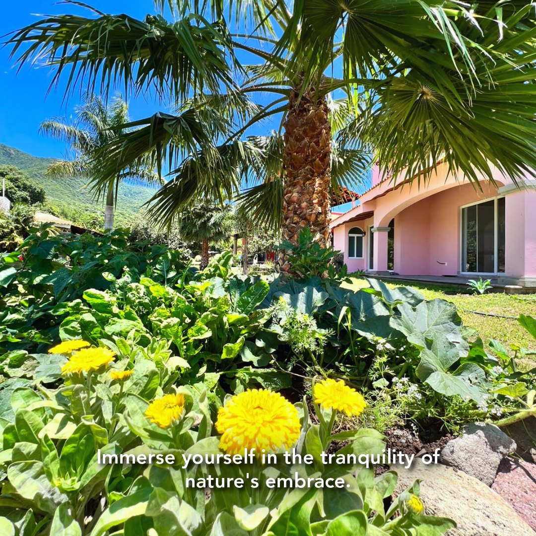 Rancho - 🌼 En Rancho la Salud Village, te invitamos a conectar con la ...
