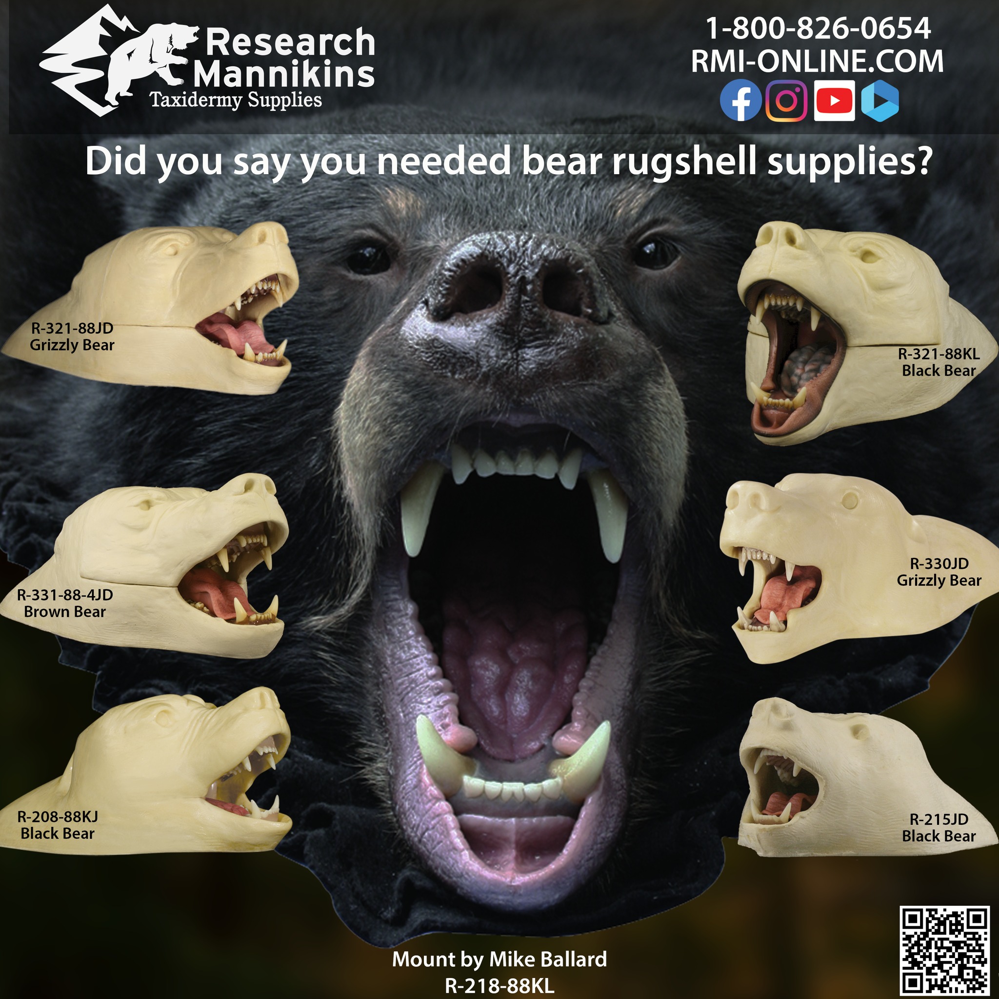 Research - Rugshells! Black bear, brown bear, grizzly - We got 'em ...