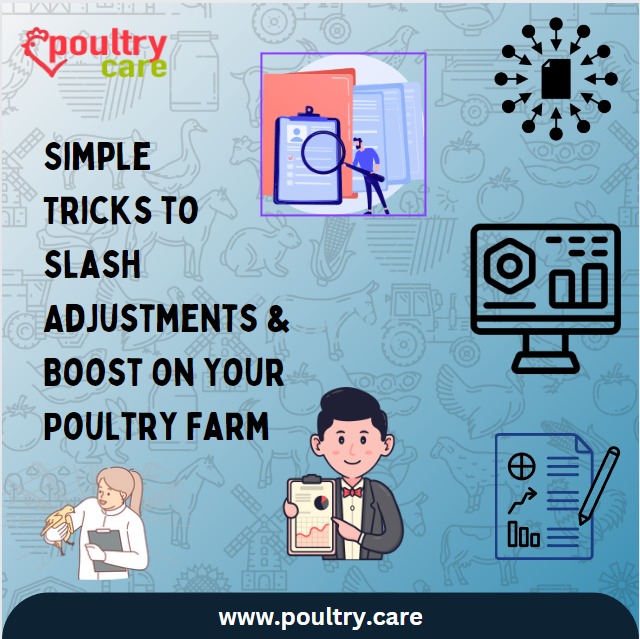 PoultryCare - 🐔 Attention Poultry Farmers! 🚀 As the... | Facebook