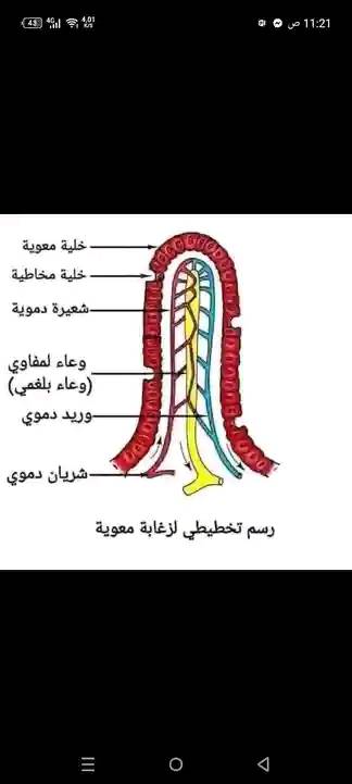 بيام 2026 | السلام عليكم | Facebook