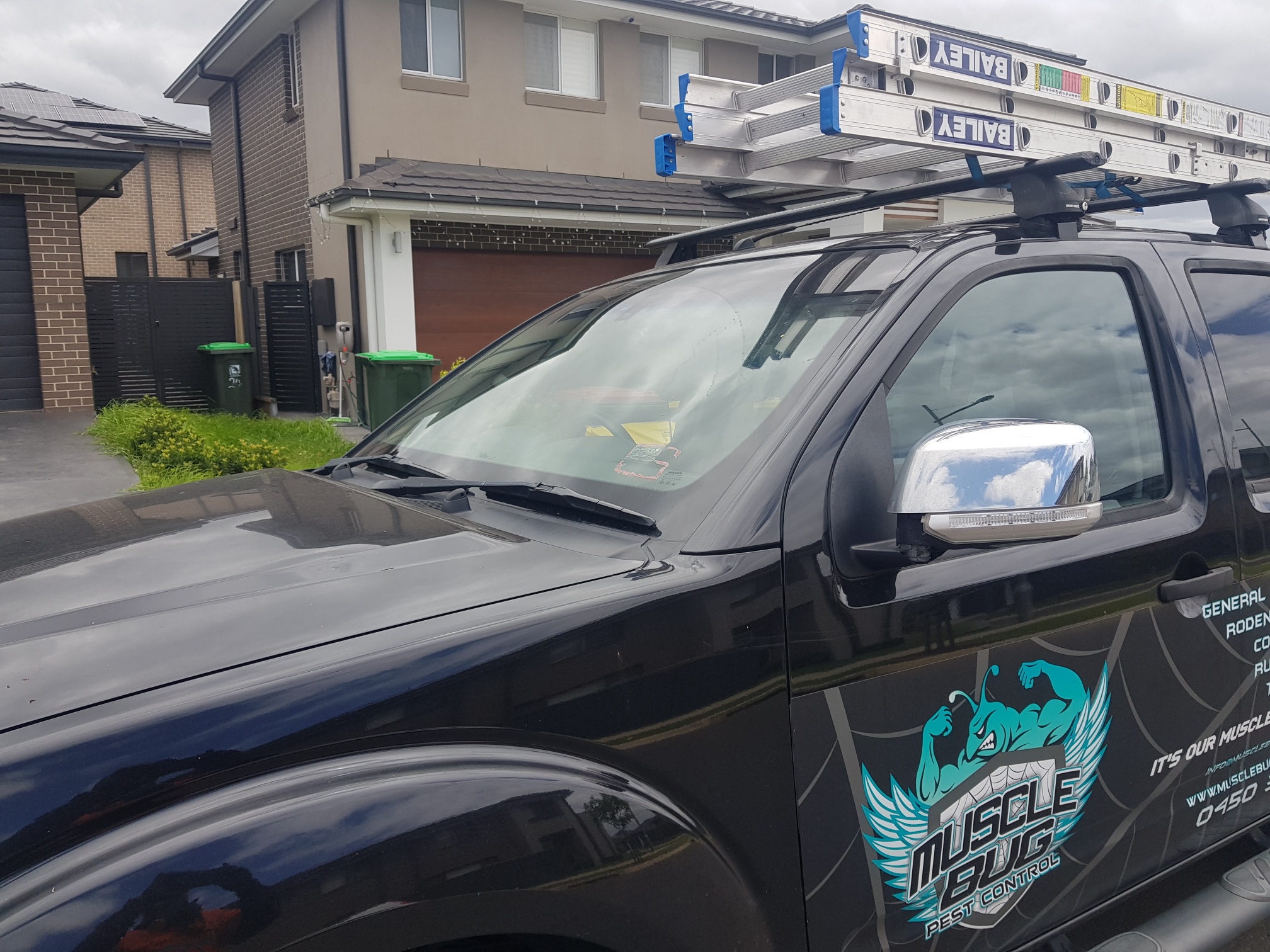 Pests? What pests? The Muscle... - Muscle Bug Pest Control