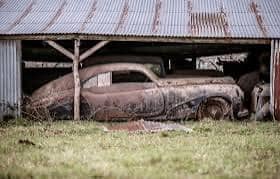 Rescued & renewed | Shellhorn AL