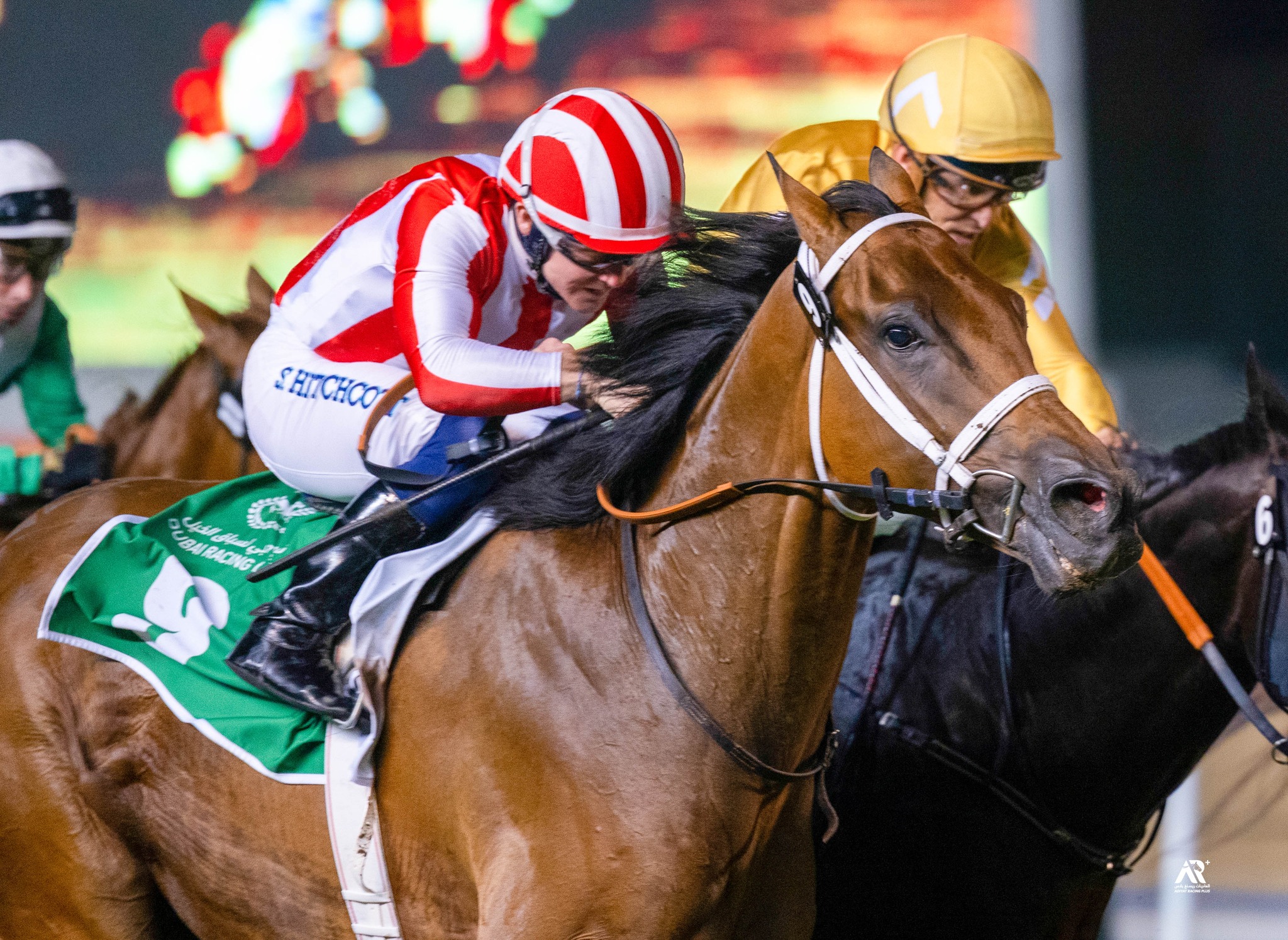 Dubai Racing Channel | Dubai