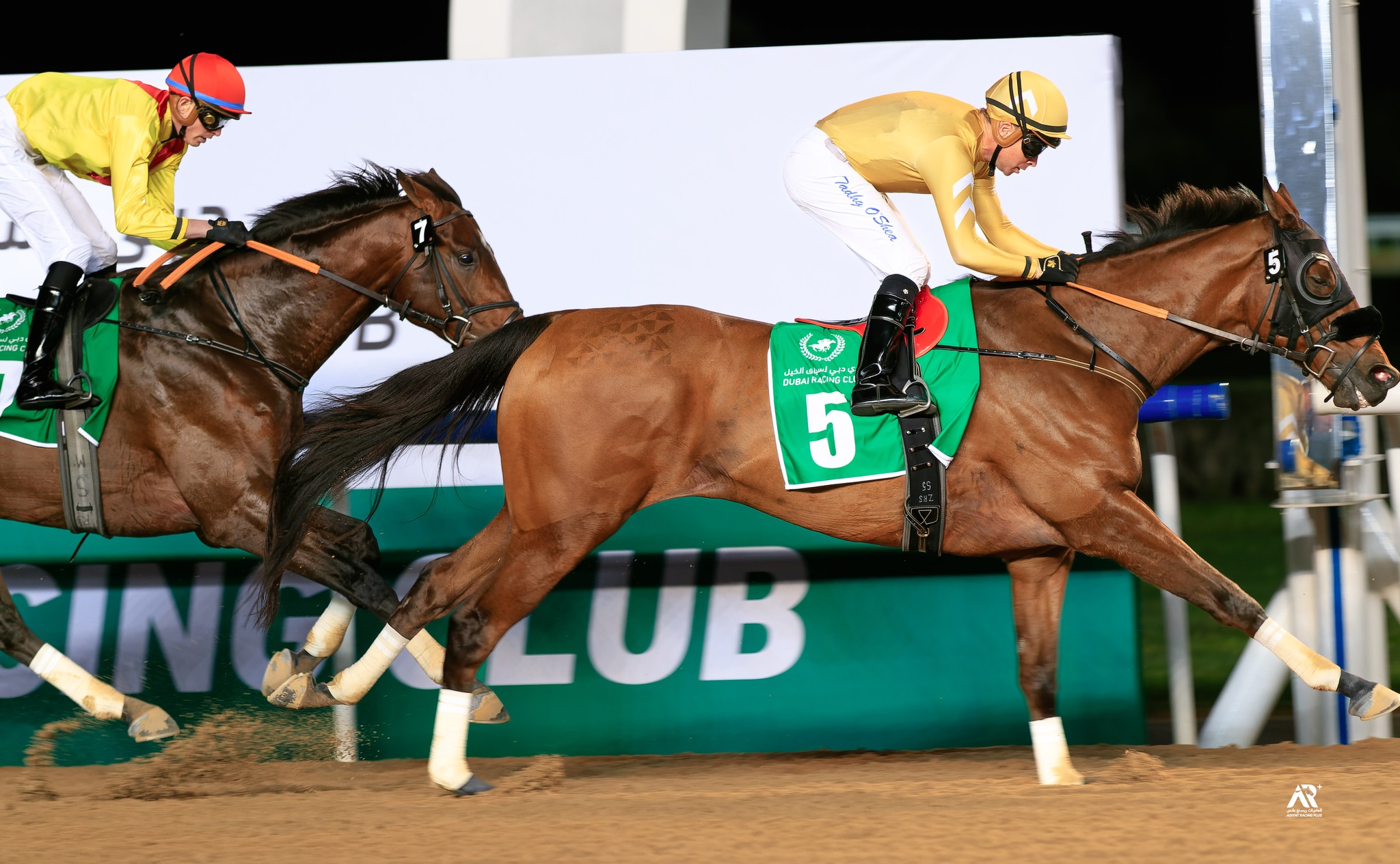 Dubai Racing Channel | Dubai