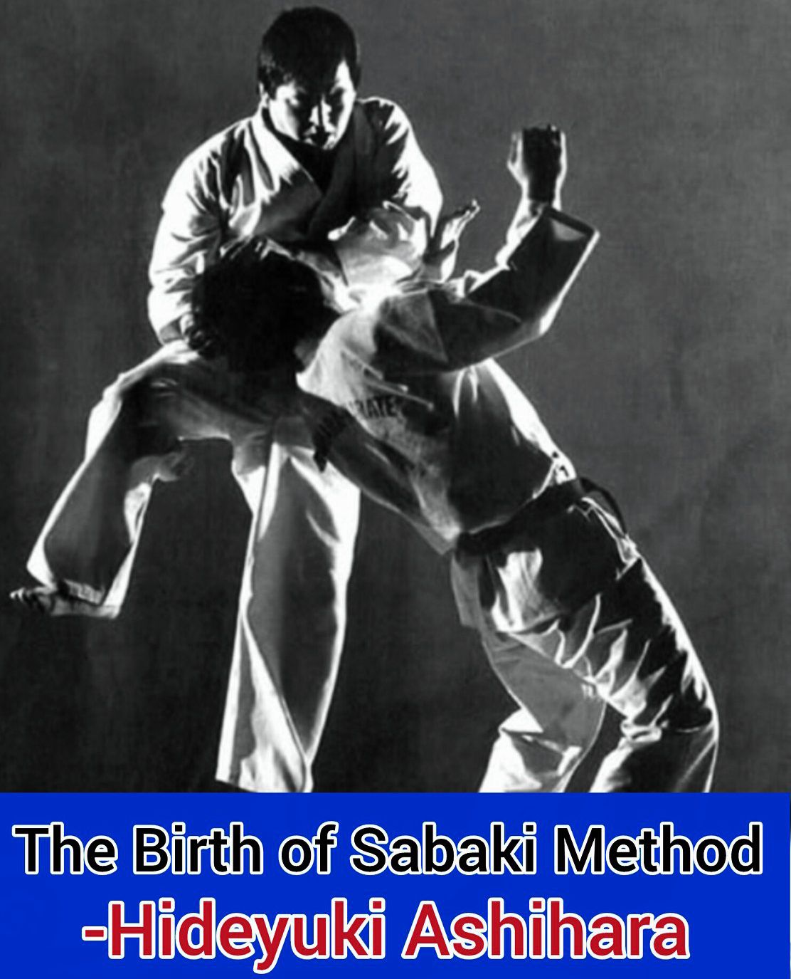 sabaki book for mastering karate art