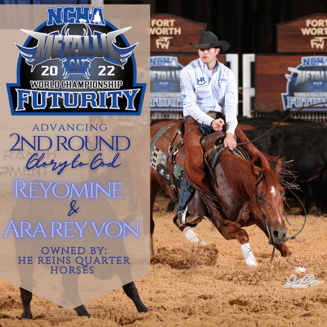 Austin - God is so Good!!! Both Horses came through our 2 year old ...