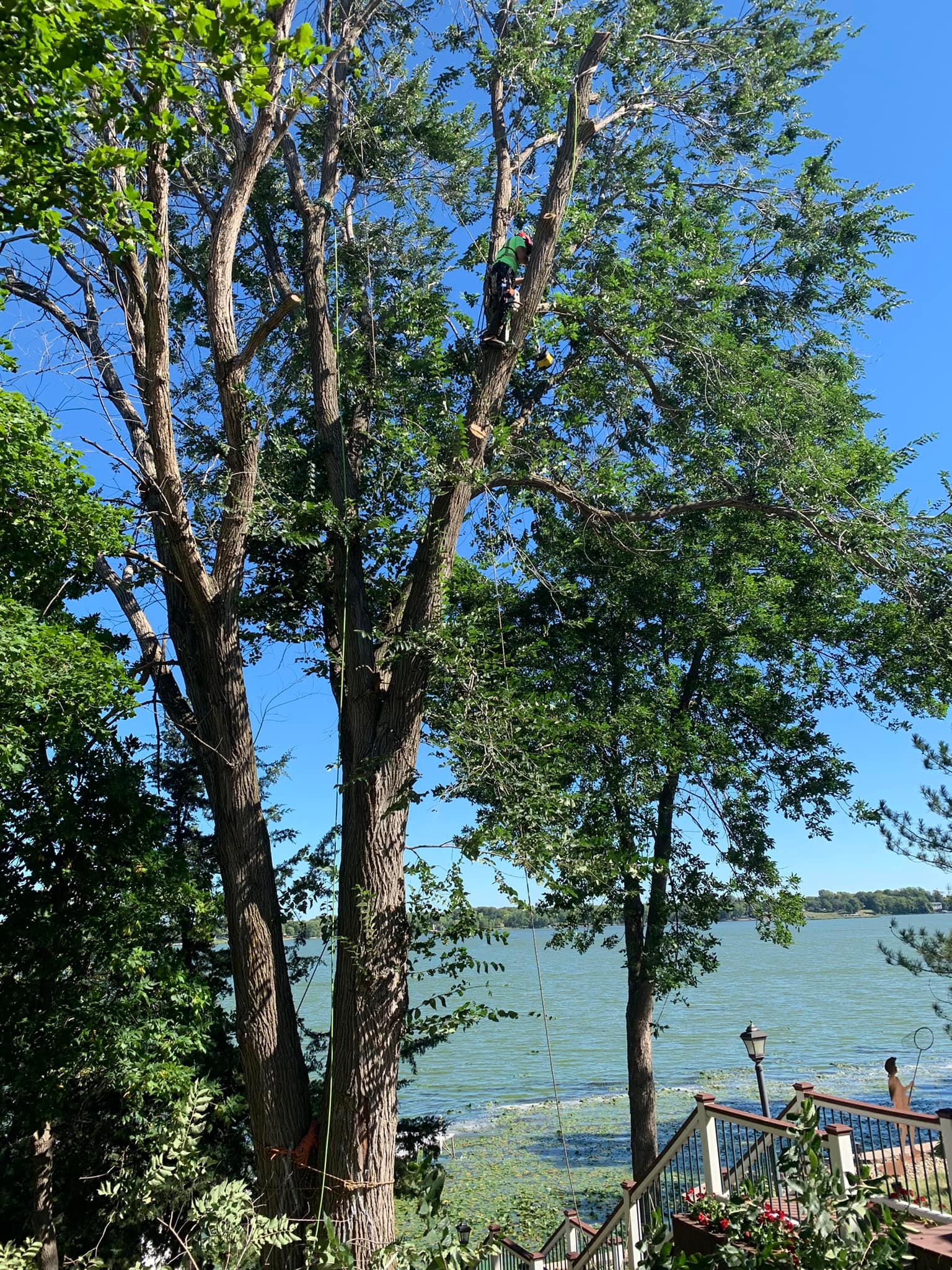 Splinter Tree and Landscaping | Good Thunder MN