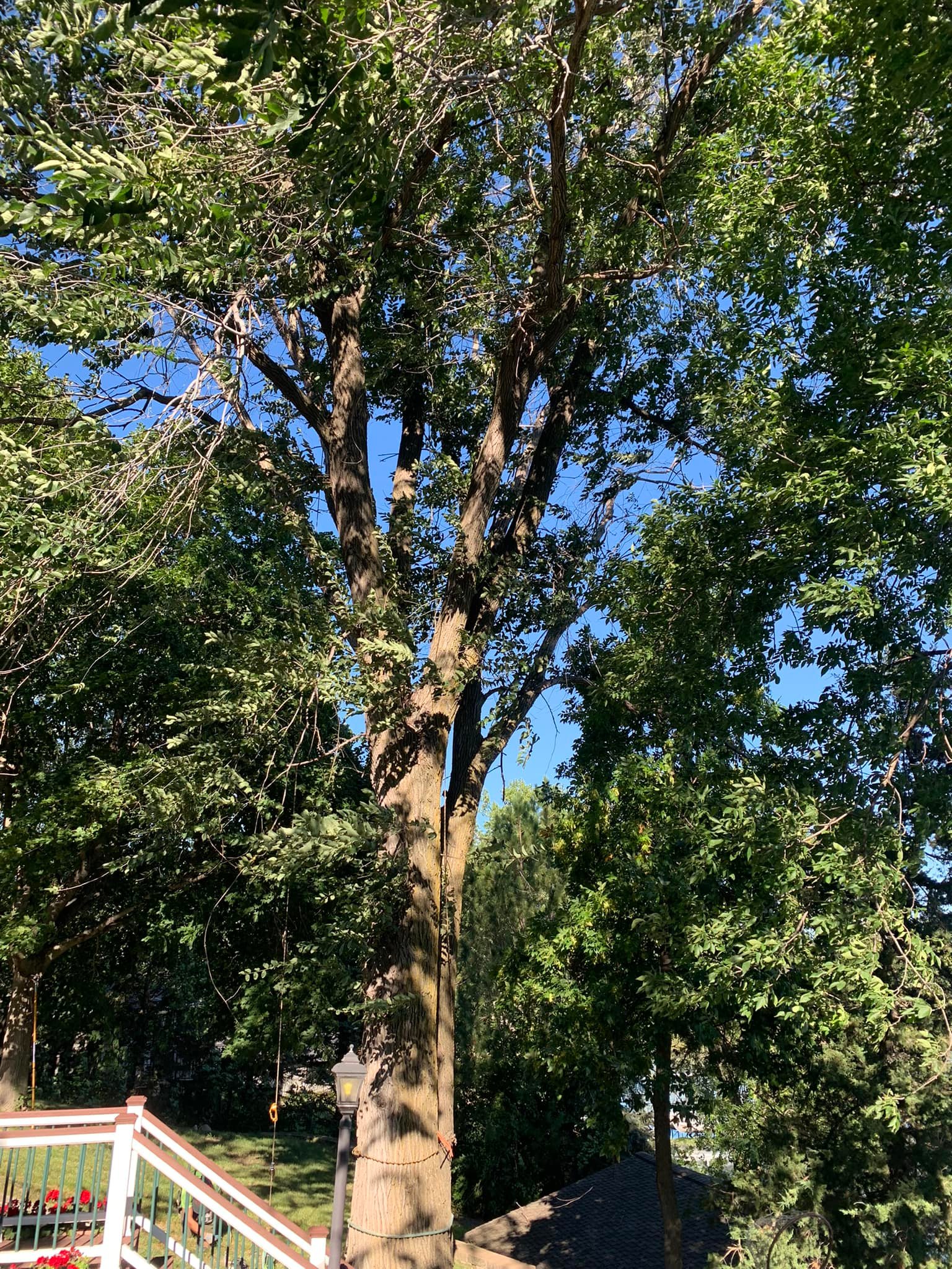 Splinter Tree and Landscaping | Good Thunder MN