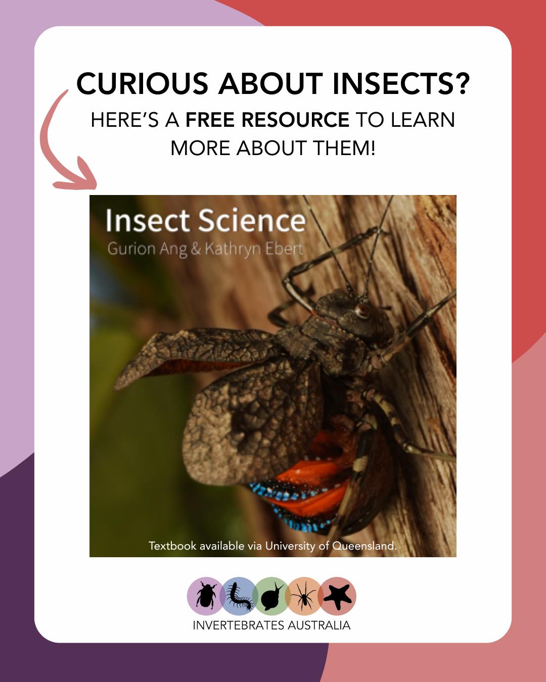 Invertebrates - If you're looking to learn more about insect science ...