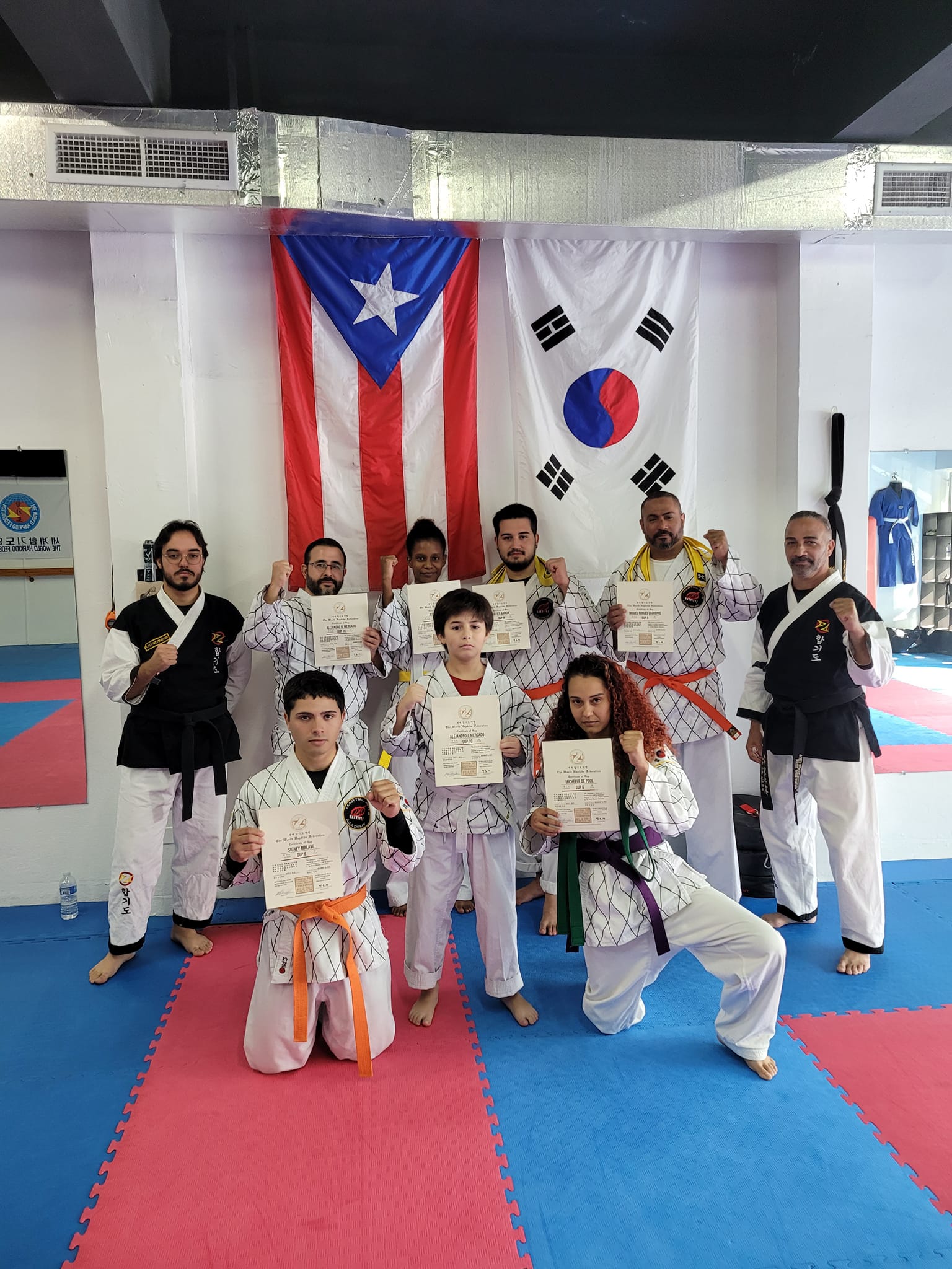 WORLD HAPKIDO... - World Hapkido Federation - Puerto Rico | Facebook