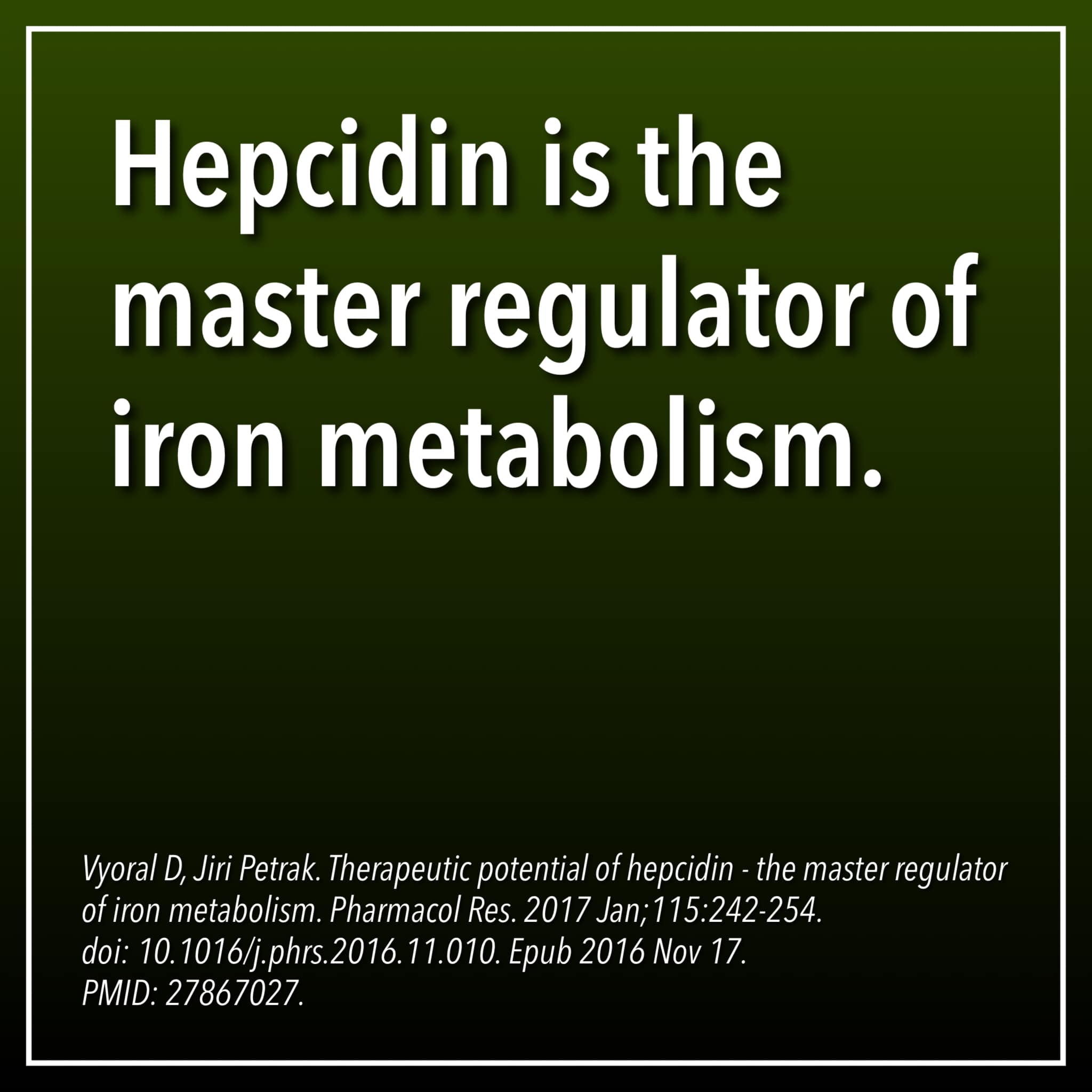 Cells appear to detect heme shortage through mitochondria: when heme is scarce, DELE1 activates HRI to reduce protein production. The system was traced across 700 million years of evolution and appears active