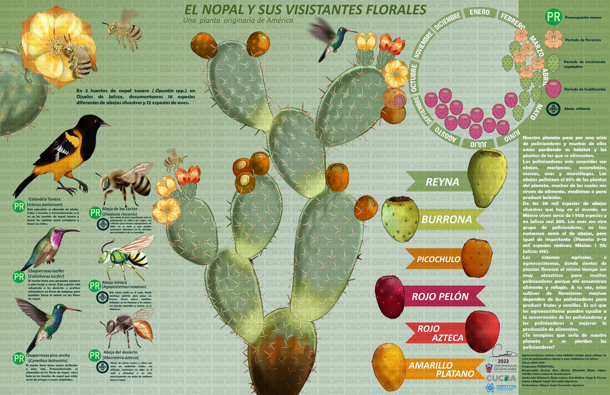 Laboratorio de Ecología de Fauna Silvestre y del Paisaje