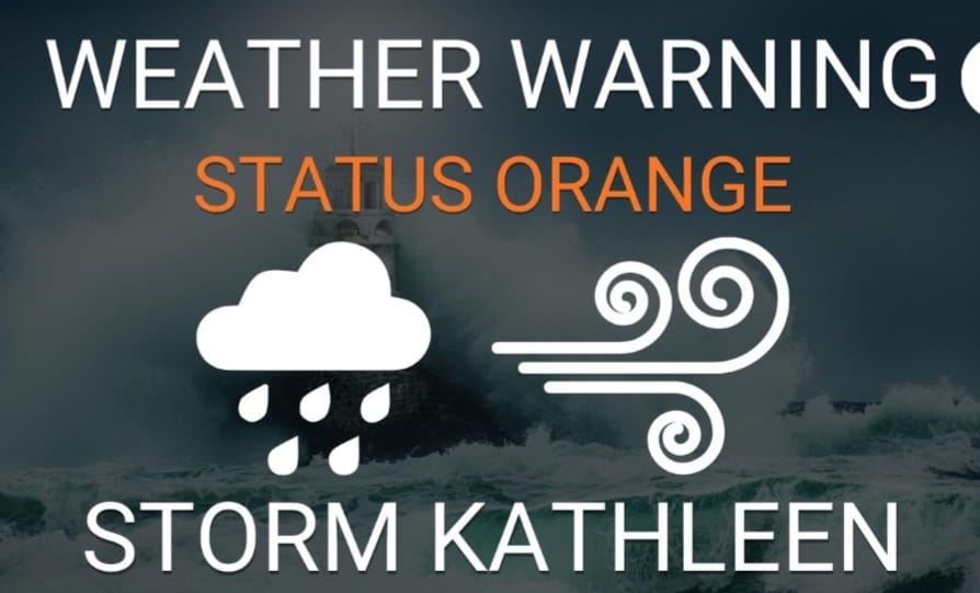 The Status Orange -... - Munster lost and found pet helpline