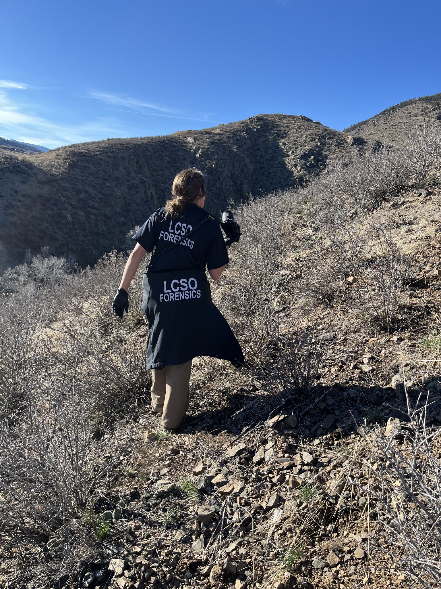 Larimer - An LCSO Crime Scene Investigator hikes to process an area ...