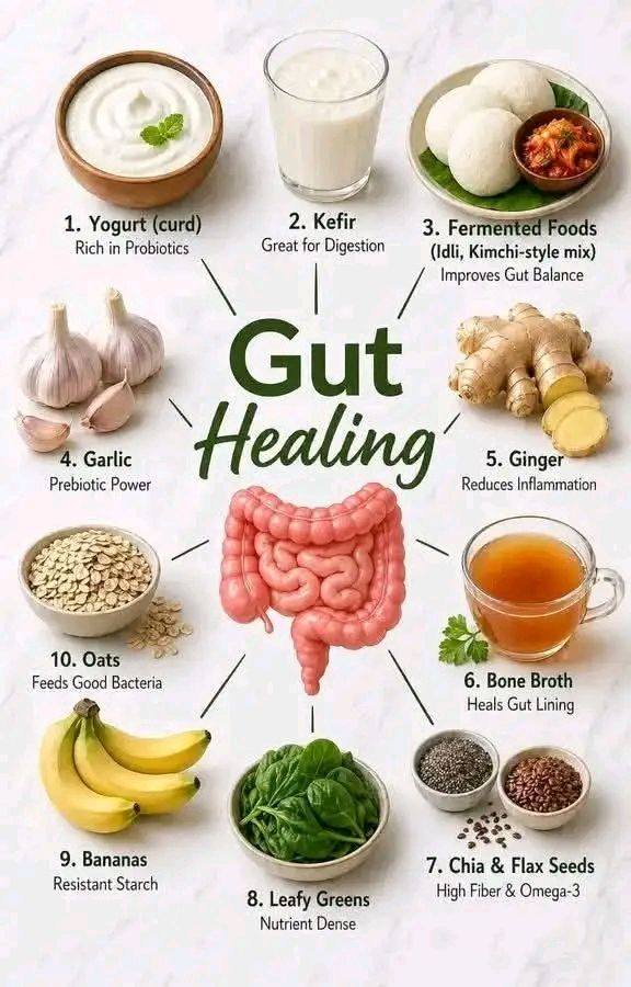 Underrated gut health foods I wish more people ate ‼️⚠️ Comment 