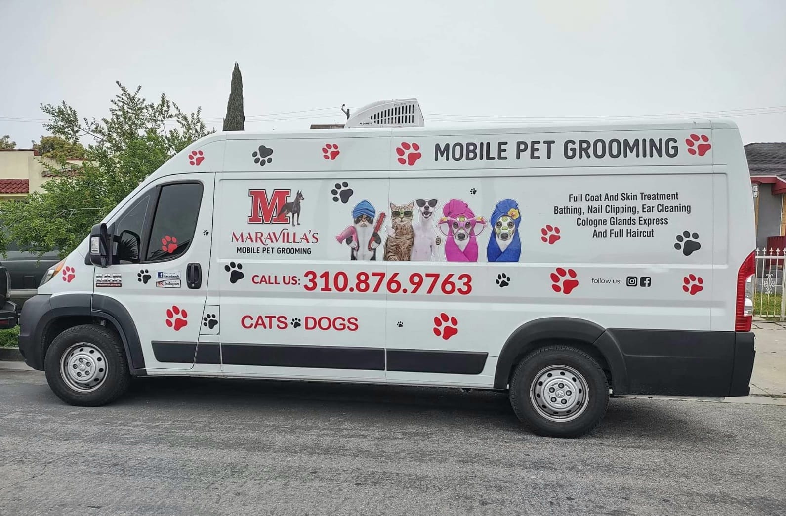 Jenny’s Mobile Pet Grooming - Love your Pet and Pamper them with LA's ... - Wang Archive For Manuel Mobile Pet Grooming Books