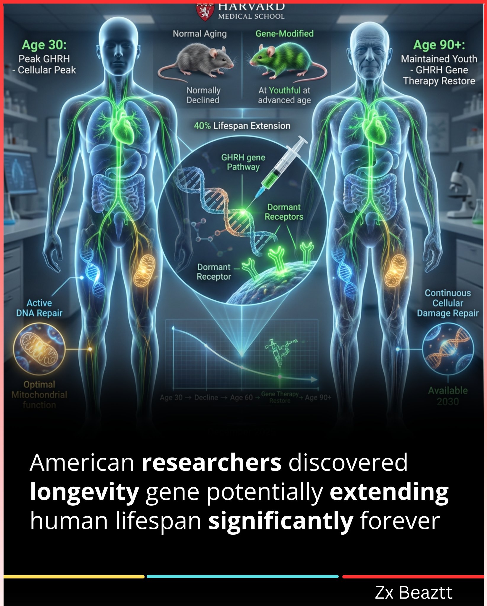 FACTS | American researchers discovered longevity gene potentially ...