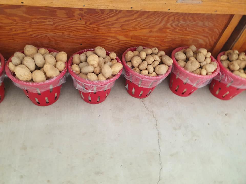 Houser's Produce Farm