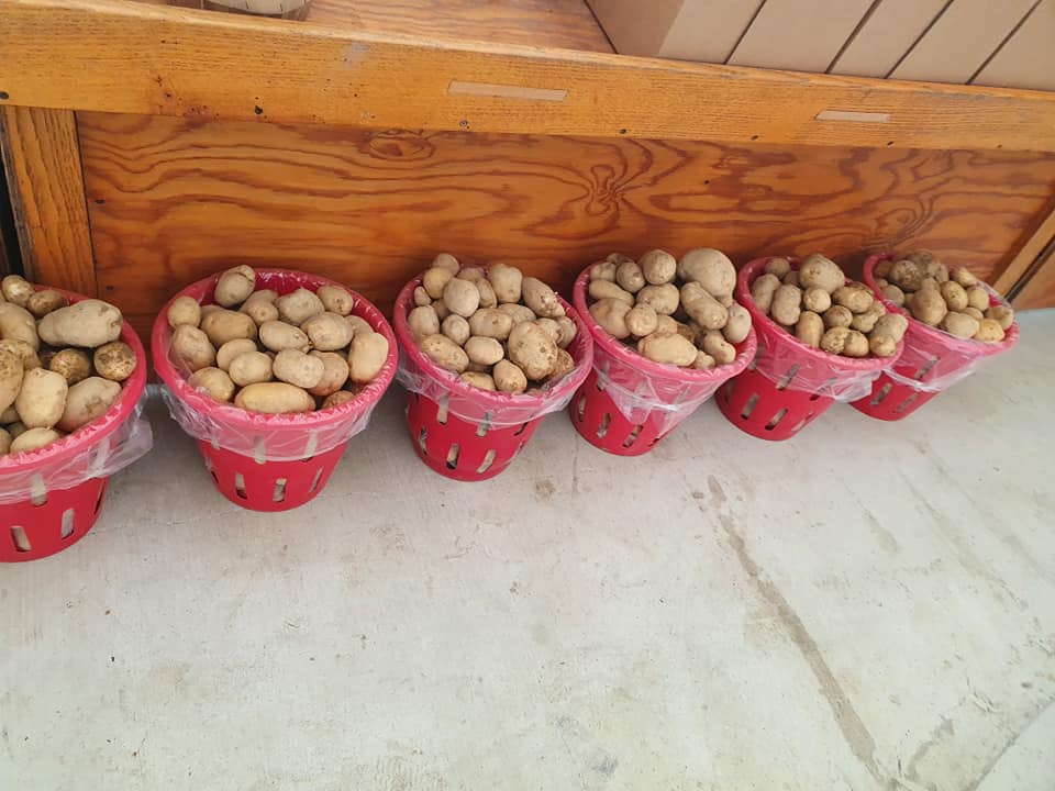 Houser's Produce Farm