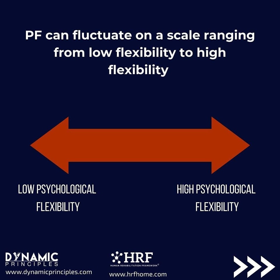 Dynamic Principles