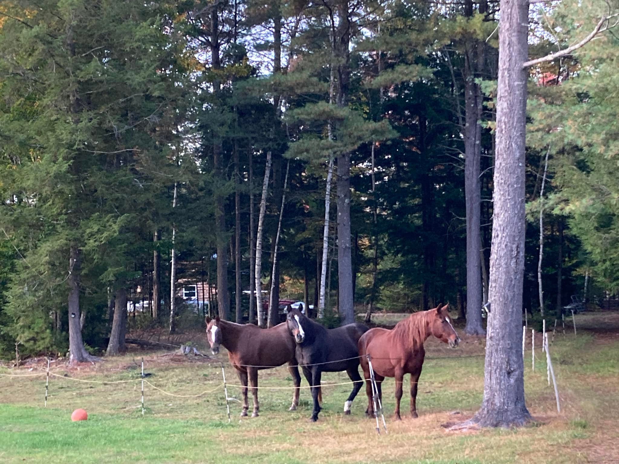 Adirondack Ranch | Thurman NY