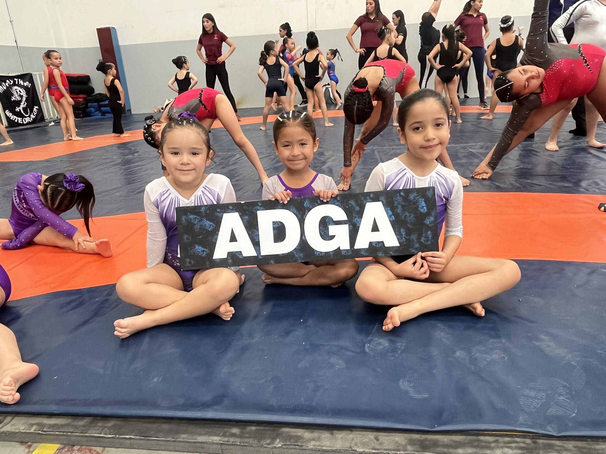 ADGA Academia Deliciense en Gimnasia Artística | Delicias