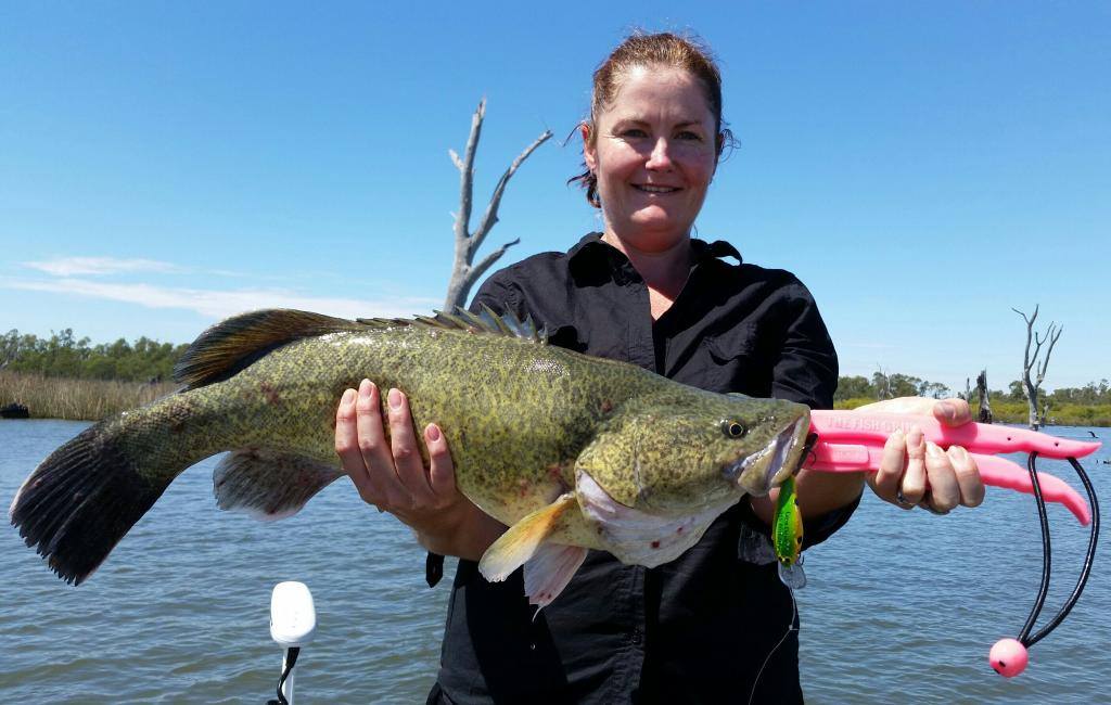 Tracee Doyle landed this 66 cm... - McGrath Lures Australia | Facebook