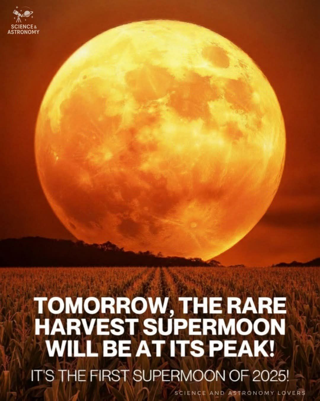 Astronomy - SUPER HARVEST MOON TOMORROW! 🍁🌙 Get ready for one of the ...