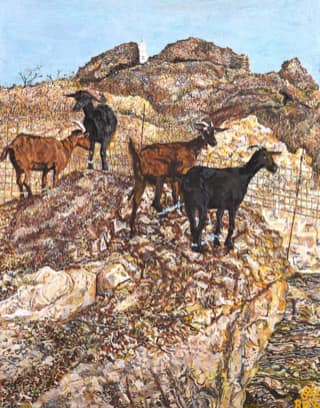 Robin Fine Artist