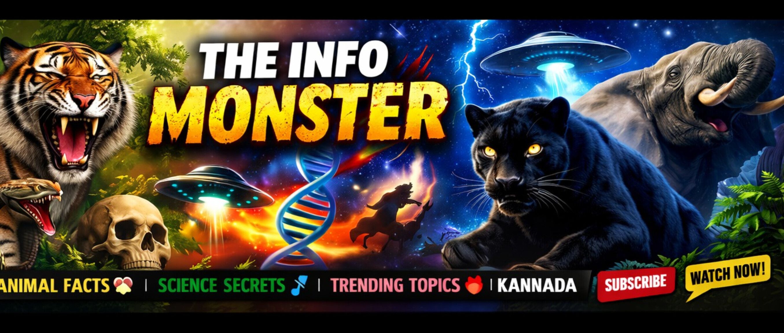The Info Monster