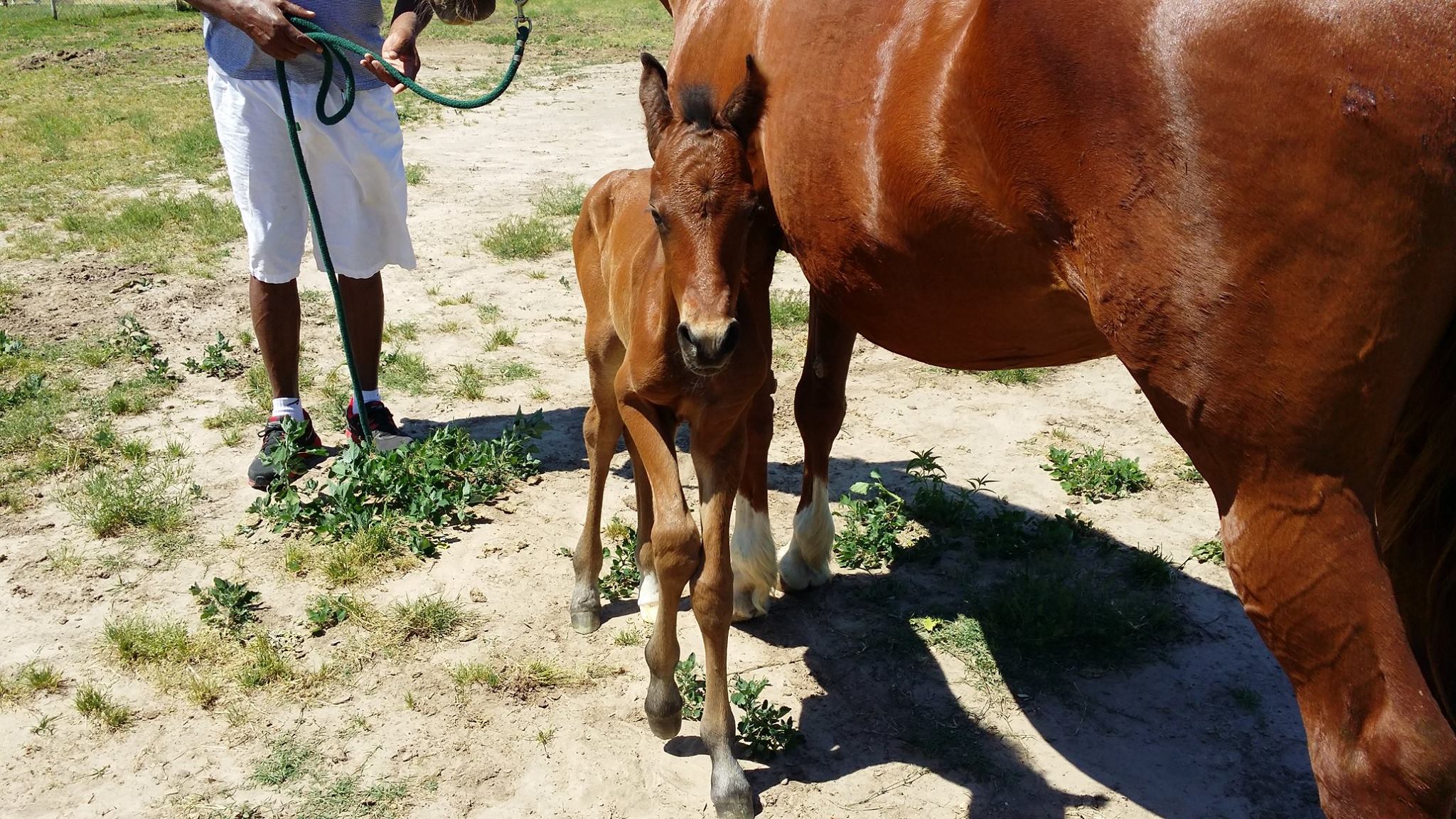Geter Ranch - Congratulations to the proud new momma at... | Facebook
